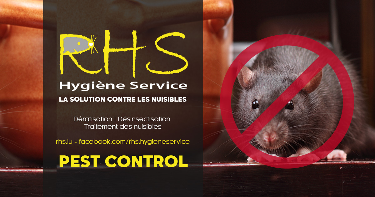 RHS Hygiène Service Pest Control rats dératisation et traitement